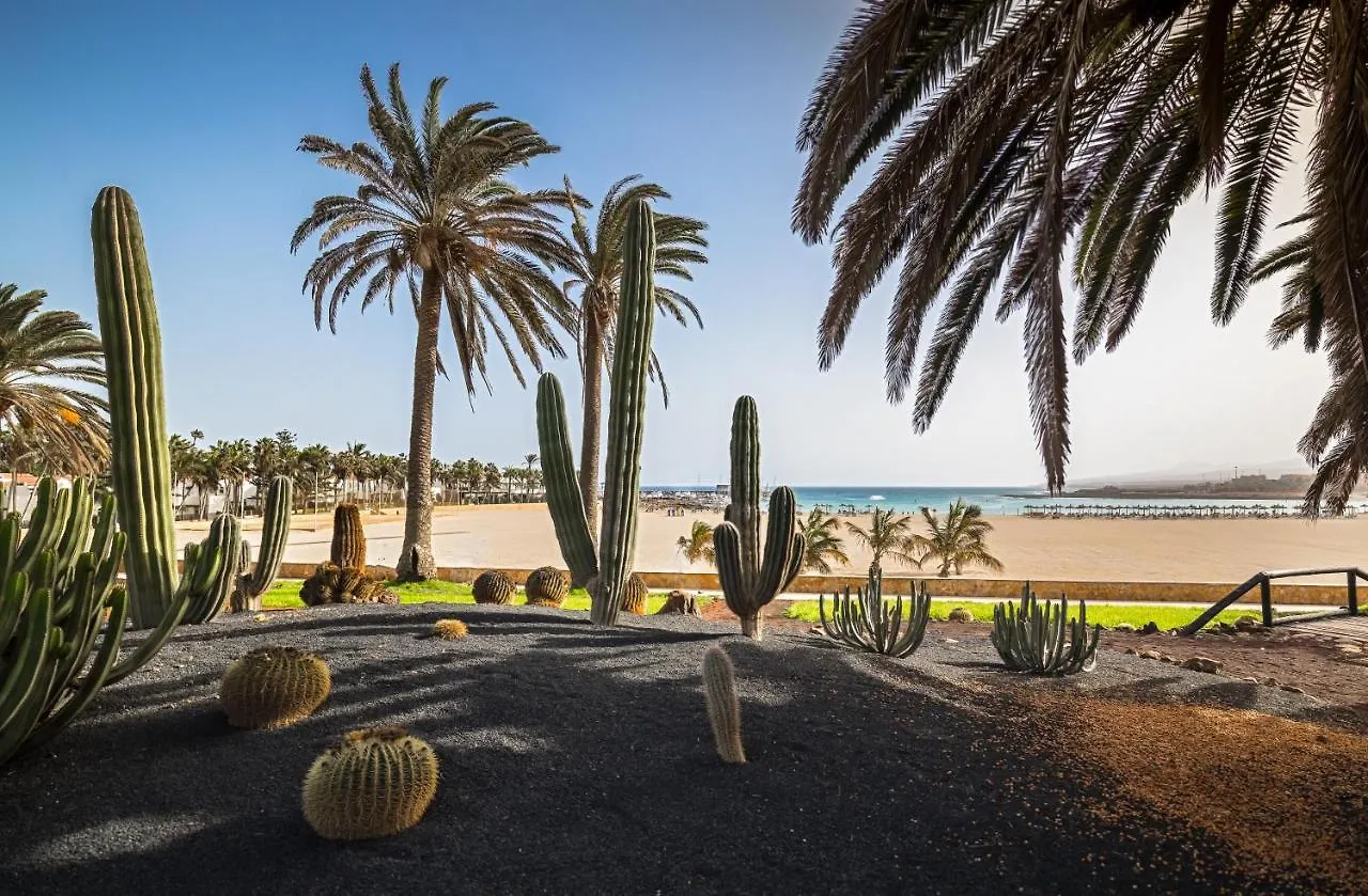 Hotel Barcelo Fuerteventura Royal Level - Adults Only à Caleta de Fuste 4*,  Espagne